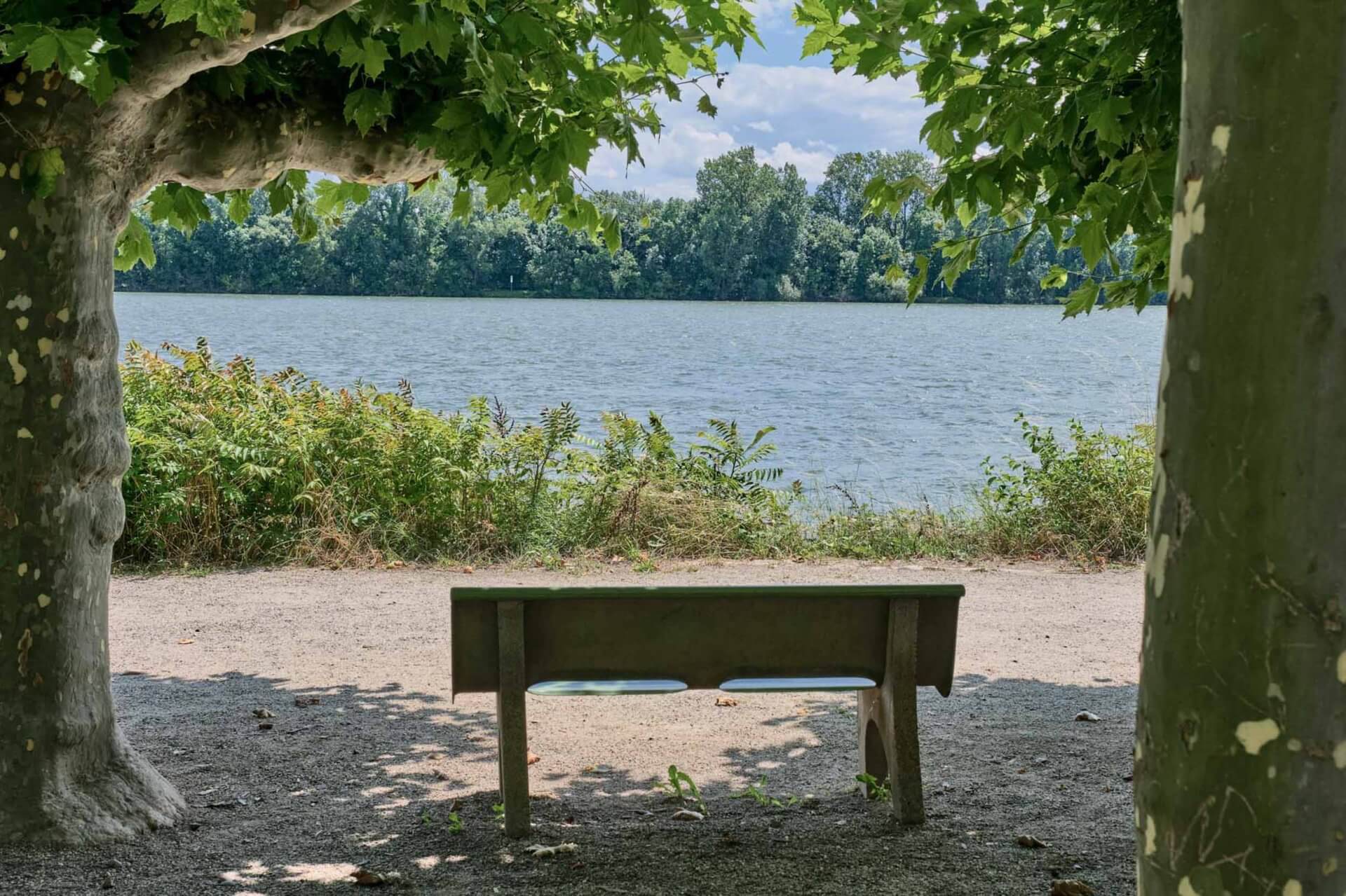 bench at waterfront near klara clermont apartments for rent