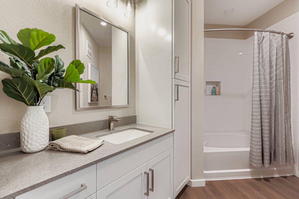 2300-hooks-street-print-quality-038-100-unit-1210-bathroom